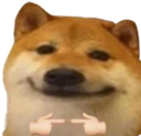 9081dogeshy emote