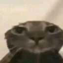 emoji_11 Emote