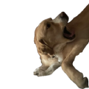 aleka emote