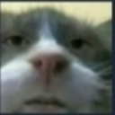 emoji_5 emote