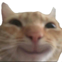 happy emote