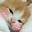 blushh Emote