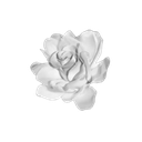 gothrose Emote