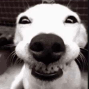 78fbf1efd333f05061a958f0ec4dbfa0 emote