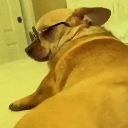 emoji_3 Emote