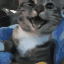 emoji_7 emote