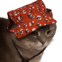 timgra Emote