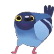 DancingPidgeon Emote