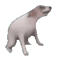 Doggodance Emote