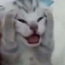 emoji_19 emote