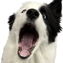 scream emote