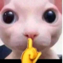 bingus_shh emote