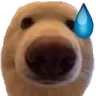 V_dumbass_dog Emote