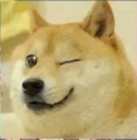 6696doge emote