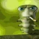 lagarta emote
