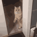 ch_bye emote