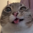 nah emote
