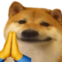 lyf_doge_namaskar emote