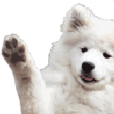 DoggoWave emote