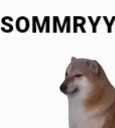 Dogesomrry emote