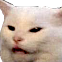pogcat Emote