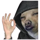 perfeito emote