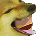 cheeseburger emote
