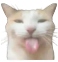 SillyCat emote