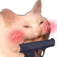 cattogun emote