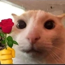 emoji_24 emote