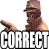 SpyCorrect Emote