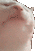 Cat_is_Dancing Emote