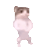 Catpls emote