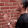talkingtowall Emote