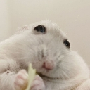 popeyehamster Emote