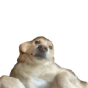 aleka2 emote