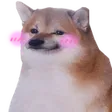 blushshibe emote