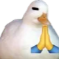 goosepra emote