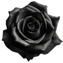 blackf Emote