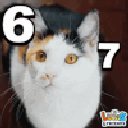 6008767cat Emote