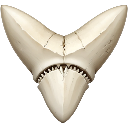 grindersharktooth Emote
