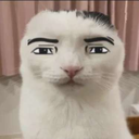 Cr_alo Emote