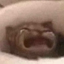 emoji_82 Emote