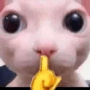 bingusshush Emote