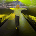 stagedance Emote