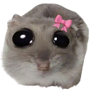 justagirl Emote