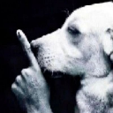 shhhh Emote