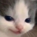 catsmirk Emote