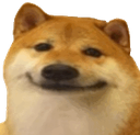 doggo_smile emote