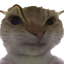 HMMMMM Emote
